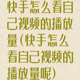 快手怎么看自己视频的播放量(快手怎么看自己视频的播放量呢)