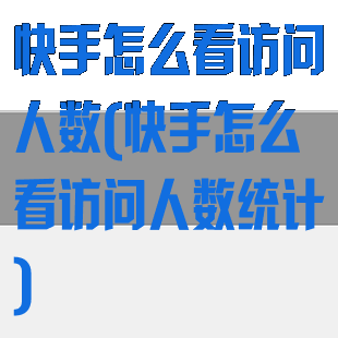 快手怎么看访问人数(快手怎么看访问人数统计)
