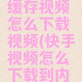 快手怎么缓存视频怎么下载视频(快手视频怎么下载到内存卡)