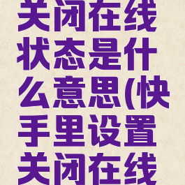 快手怎么关闭在线状态是什么意思(快手里设置关闭在线状态)