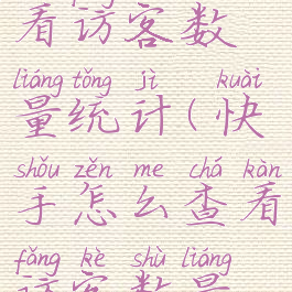 快手怎么查看访客数量统计(快手怎么查看访客数量统计图)