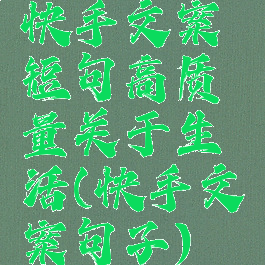快手文案短句高质量关于生活(快手文案句子)