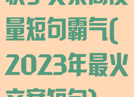 快手文案高质量短句霸气(2023年最火文案短句)