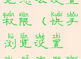 快手无痕浏览怎么设置权限(快手浏览设置在哪怎么弄出来)