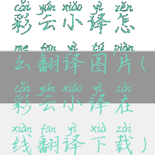 彩云小译怎么翻译图片(彩云小译在线翻译下载)