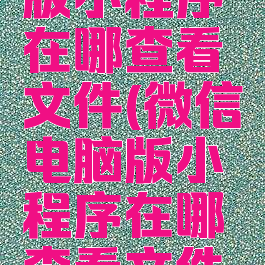 微信电脑版小程序在哪查看文件(微信电脑版小程序在哪查看文件内容)