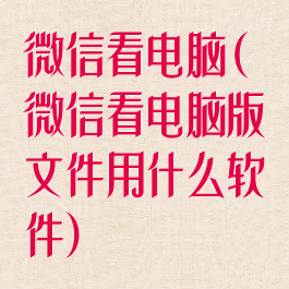 微信看电脑(微信看电脑版文件用什么软件)