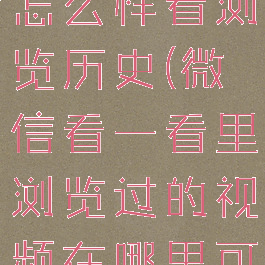 微信看一看怎么样看浏览历史(微信看一看里浏览过的视频在哪里可以找到)