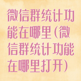 微信群统计功能在哪里(微信群统计功能在哪里打开)