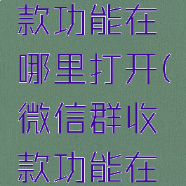微信群收款功能在哪里打开(微信群收款功能在哪儿)