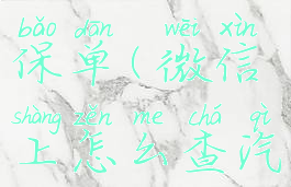 微信上怎么查汽车电子保单(微信上怎么查汽车电子保单号)