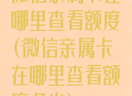 微信亲属卡在哪里查看额度(微信亲属卡在哪里查看额度多少)