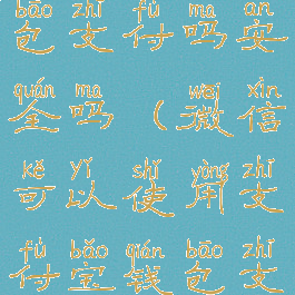 微信可以使用支付宝钱包支付吗安全吗(微信可以使用支付宝钱包支付吗安全吗是真的吗)