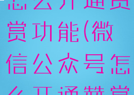 微信公众号怎么开通赞赏功能(微信公众号怎么开通赞赏账户)