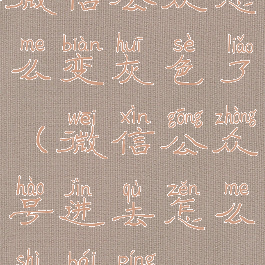 微信公众怎么变灰色了(微信公众号进去怎么是白屏)