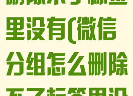 微信分组怎么删除不了标签里没有(微信分组怎么删除不了标签里没有的人员)