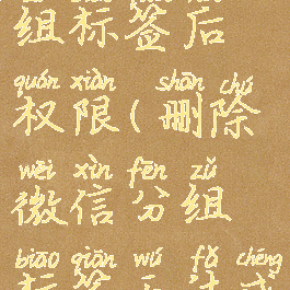 微信删除分组标签后权限(删除微信分组标签无法成功)