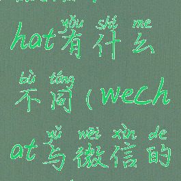微信和wechat有什么不同(wechat与微信的区别)