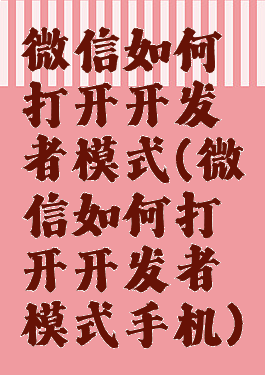 微信如何打开开发者模式(微信如何打开开发者模式手机)
