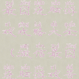 微信小程序最囧烧脑游戏攻略大全(微信最囧烧脑游戏答案大全)