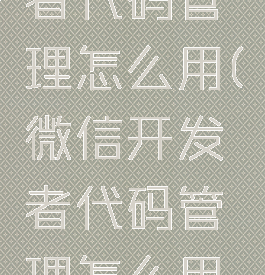 微信开发者代码管理怎么用(微信开发者代码管理怎么用不了)