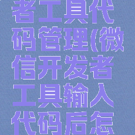 微信开发者工具代码管理(微信开发者工具输入代码后怎么运行)