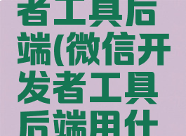 微信开发者工具后端(微信开发者工具后端用什么)