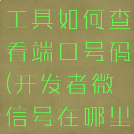 微信开发者工具如何查看端口号码(开发者微信号在哪里查看)