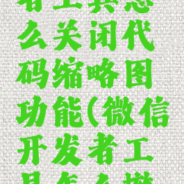 微信开发者工具怎么关闭代码缩略图功能(微信开发者工具怎么撤销操作)