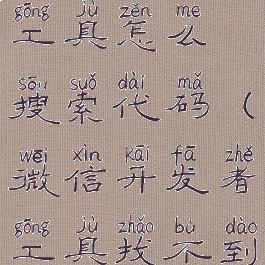 微信开发者工具怎么搜索代码(微信开发者工具找不到app.json)
