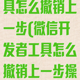 微信开发者工具怎么撤销上一步(微信开发者工具怎么撤销上一步操作)