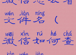 微信怎么看文件名(微信如何查看文件)