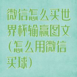 微信怎么买世界杯输赢图文(怎么用微信买球)