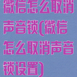 微信怎么取消声音锁(微信怎么取消声音锁设置)