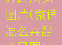 微信怎么弄静态码图片(微信怎么弄静态码图片和文字)