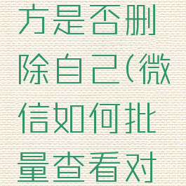 微信怎么批量看对方是否删除自己(微信如何批量查看对方是否删除自己)