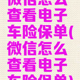 微信怎么查看电子车险保单(微信怎么查看电子车险保单)