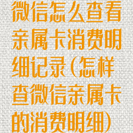 微信怎么查看亲属卡消费明细记录(怎样查微信亲属卡的消费明细)