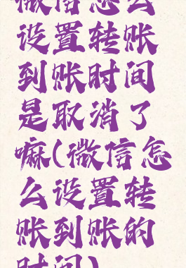 微信怎么设置转账到账时间是取消了嘛(微信怎么设置转账到账的时间)