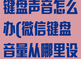 微信怎么设置键盘声音怎么办(微信键盘音量从哪里设置)
