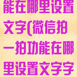 微信拍一拍功能在哪里设置文字(微信拍一拍功能在哪里设置文字字数)