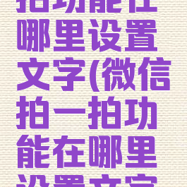 微信拍一拍功能在哪里设置文字(微信拍一拍功能在哪里设置文字模式)