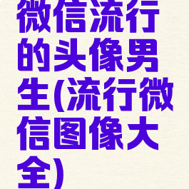 微信流行的头像男生(流行微信图像大全)