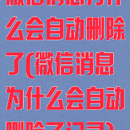微信消息为什么会自动删除了(微信消息为什么会自动删除了记录)