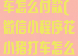 微信花小猪打车怎么付款(微信小程序花小猪打车怎么付费)