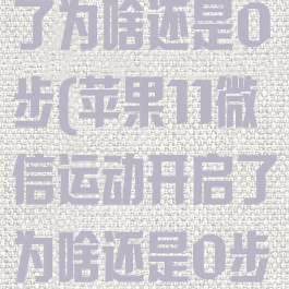 微信运动开启了为啥还是0步(苹果11微信运动开启了为啥还是0步)