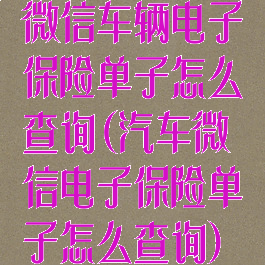 微信车辆电子保险单子怎么查询(汽车微信电子保险单子怎么查询)