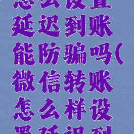微信转账怎么设置延迟到账能防骗吗(微信转账怎么样设置延迟到账)