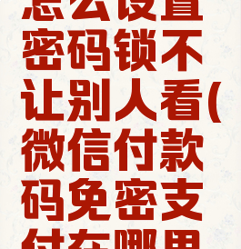 微信钱包怎么设置密码锁不让别人看(微信付款码免密支付在哪里设置)