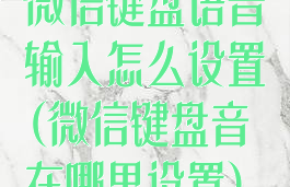 微信键盘语音输入怎么设置(微信键盘音在哪里设置)